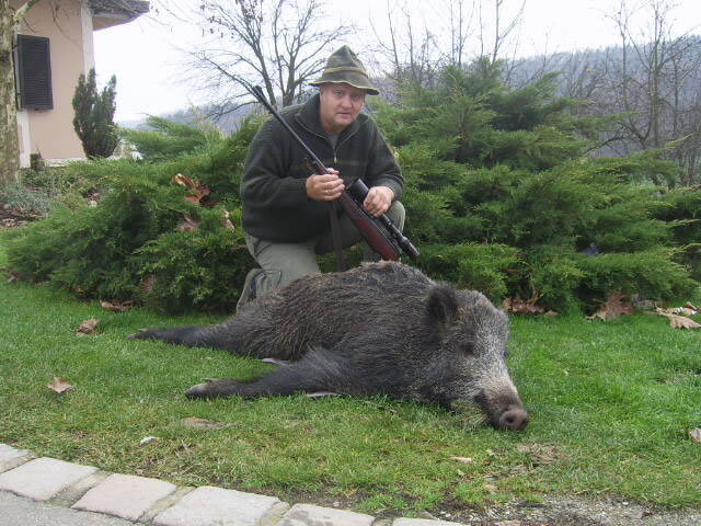 Hans Koinig mit seiner Wildsau